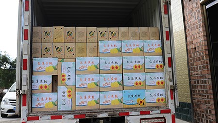 助銷黃桃社會(huì)扶貧，關(guān)愛員工送高溫福利